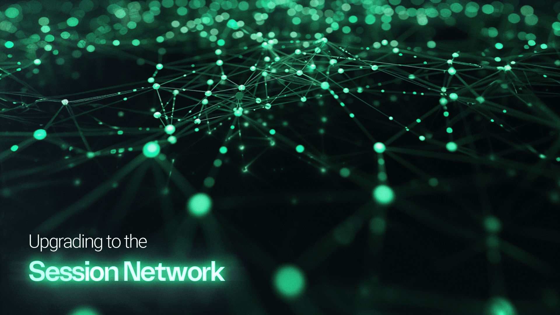 Illustration Session