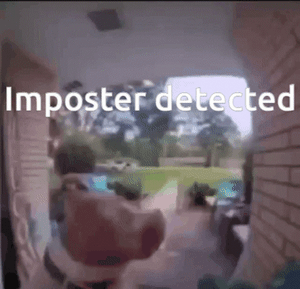 Imposter detected gif